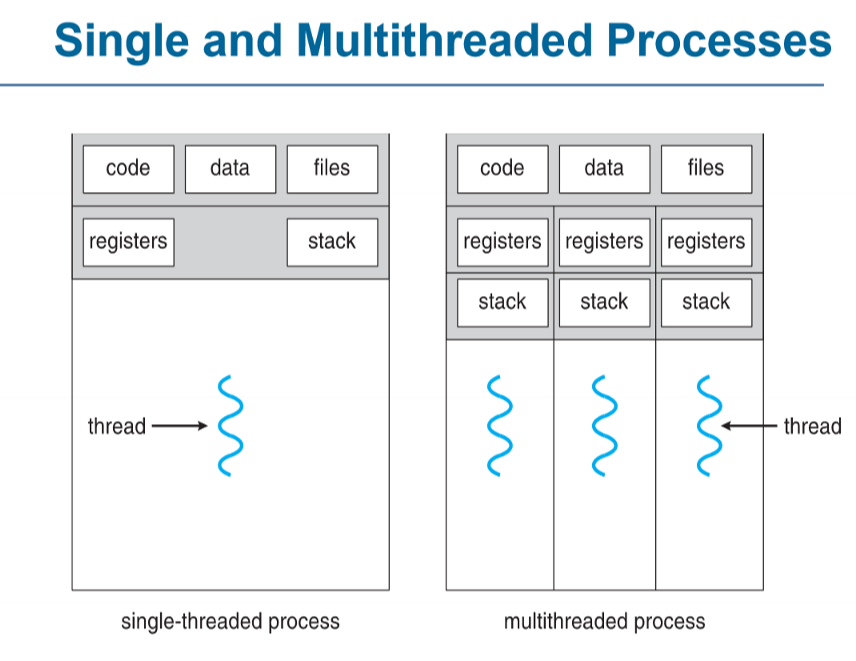 single and multithreaded Processes